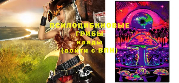 прущие грибы Горнозаводск