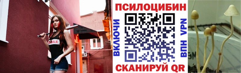 Псилоцибиновые грибы мухоморы  Купить закладки  Нижневартовск 